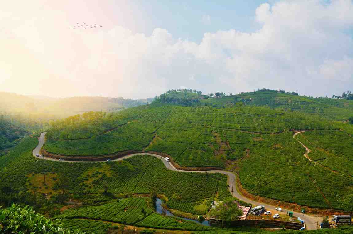 Vagamon- Kerala tourism